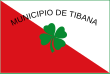 Vlag van Tibaná