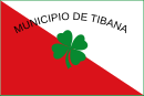 Vlag van Tibaná