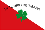 Tibaná