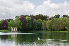 Fontainebleau château étang des carpes