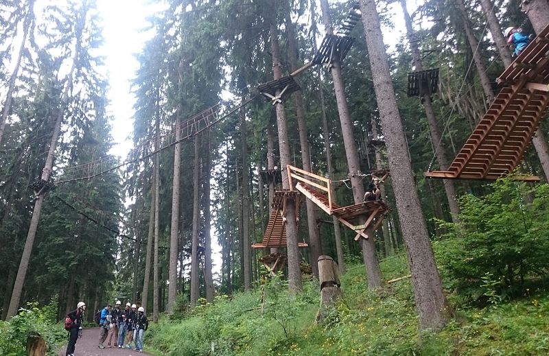 File:Forest Kletterwald Titisee-Neustadt.jpg