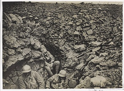 Stoinian troops in watered-down trenches.