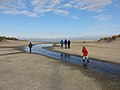 Frozen creek between the dunes at De Slufter (Texel, NL).JPG