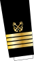 GR-Coastguard-OF5-sleeve.svg