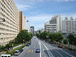 Gaien Nishi-Dori Ave.