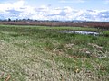 * Nomination Garden City Lands in Richmond BC. --BlueSquadronRaven 17:05, 13 July 2009 (UTC)  Question What is Garden City Lands? To me it lokks just like a bit of dry and boring grassland, but maybe I'm missing something. -- H005 19:41, 13 July 2009 (UTC)  Comment It's an undeveloped parcel of land in the middle of Richmond, BC which has become a point of contention between Citizens who want it left as wetlands/peatbog or turned to community gardens and the City and local aboriginals who want to develop it. I uploaded it for the city's article on Wikipedia. --BlueSquadronRaven 20:34, 13 July 2009 (UTC) * Decline Overexposed sky, mundane subject, slightly tilted horizon. --Ferengi 11:53, 19 July 2009 (UTC)  Comment The horizon is not tilted. That's the lay of the land. --BlueSquadronRaven 16:34, 20 July 2009 (UTC)  CommentGranted, but that's the least of the photo's problems. --Ferengi 17:02, 20 July 2009 (UTC)  CommentRealistically, you've only cited one issue... the sky. That at least I'll go along with.--BlueSquadronRaven 21:52, 20 July 2009 (UTC)