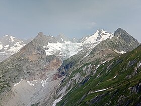 Vue en 2023 du glacier depuis le Grand col Ferret au sud-est.