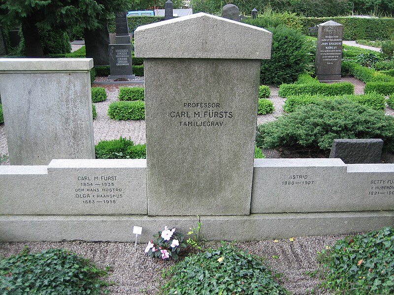 File:Grave of professor Carl Magnus Fürst lund sweden 2008.JPG