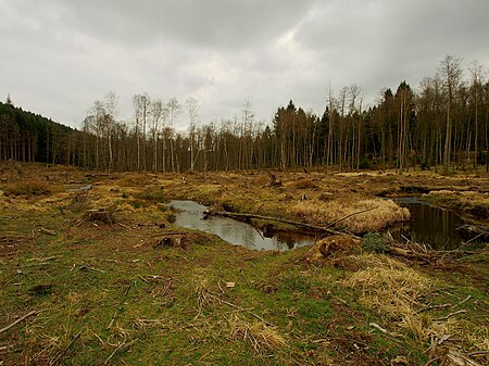 Große Schmalenau (23 03 2014) (2)