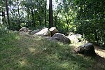 Großsteingrab „Der hohe Stein“