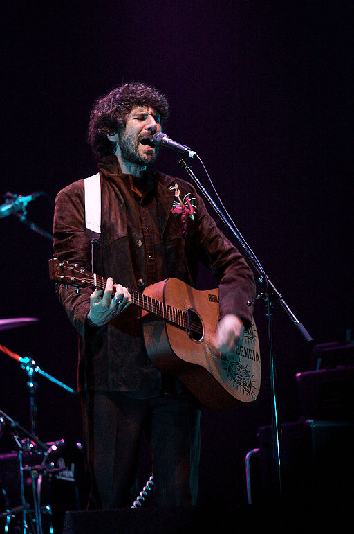 Gruff Rhys Summersonic 2008