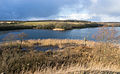 * Nomination Part of the Hald lake, as seen from the ruins of the Hald castle, Commune of Viborg, Denmark.--Jebulon 17:57, 14 March 2016 (UTC) * Promotion  Support Good quality.--Famberhorst 18:35, 14 March 2016 (UTC)