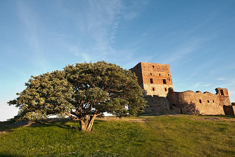 File:Hammershus - tree.jpg