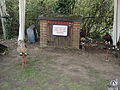 Birds from Haven Falconry, at Havenstreet railway station, Isle of Wight during the Bustival 2012 event, held by Southern Vectis.