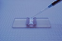 A counting chamber Hemocytometer.jpg