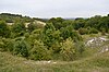 Hexton Chalk Pit 7.JPG