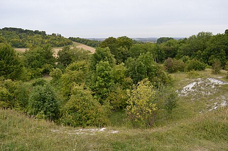 Hexton Chalk Pit 7