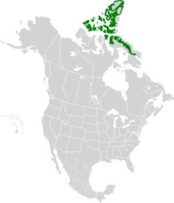 File:High Arctic tundra map.svg