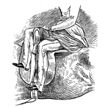 Correct leg position. Toe of right foot is up, heel down Horsemanship for Women 111.png