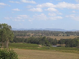 <span class="mw-page-title-main">Central Hunter Valley eucalypt forest and woodland</span> Endangered ecological community