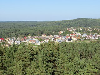 <span class="mw-page-title-main">Ignalina</span> Town in Aukštaitija, Lithuania