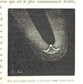 Image taken from page 257 of 'L'Espace céleste et la nature tropicale, description physique de l'univers ... préface de M. Babinet, dessins de Yan' Dargent' (11052551243).jpg