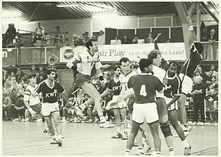 <span class="mw-page-title-main">Wil Jacobs</span> Dutch handball player (born 1960)