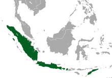 Индонезийская коротконосая летучая мышь area.png