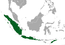 Indonesian Short-nosed Fruit Bat area.png