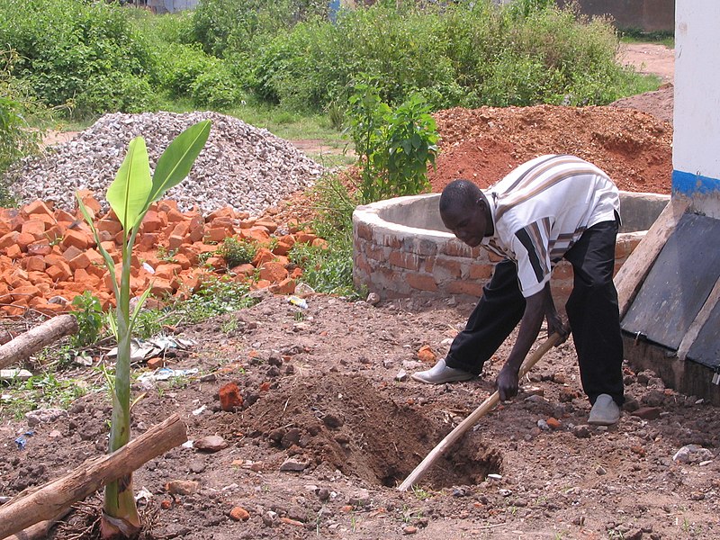 File:Irrigation of banana trees (15660621075).jpg