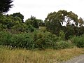 Kaitoke railway station 01.JPG