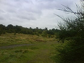 Kersal Moor httpsuploadwikimediaorgwikipediacommonsthu