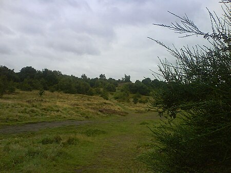 Kersal Moor