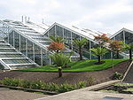 Kew Gardens: Története, Fekvése, Üvegházak