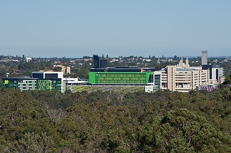 Kings park gnangarra 250815 100