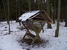 [1] eine Krippe im Wald