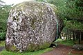 Eiszeitlicher Felsbrocken im Wäldchen von Kunoy.