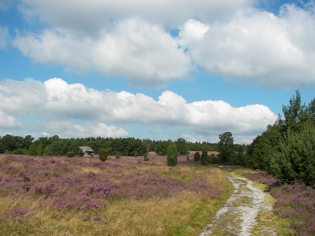 Freudenthalweg