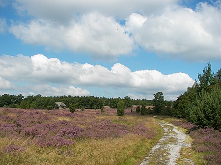 Lüneburger Heide 080