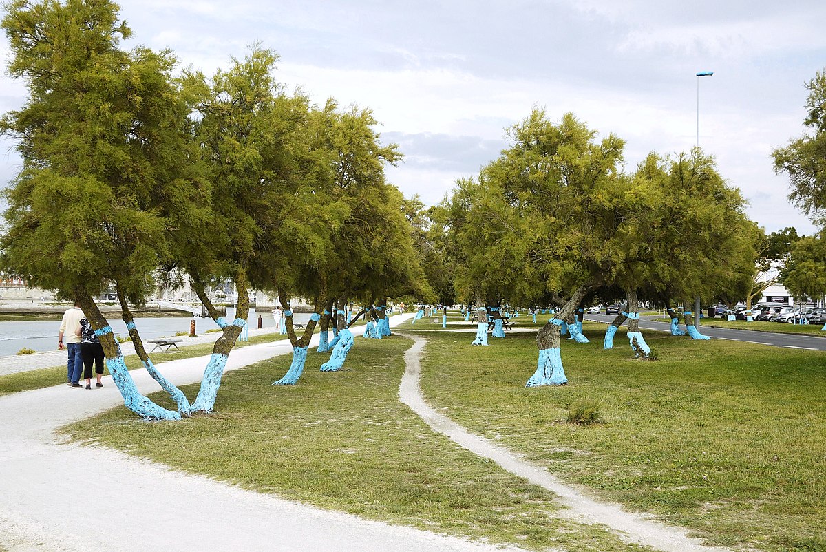 File:La Promenade des Tamaris avec ses arbres peints en bleu - Wikimedia Commons