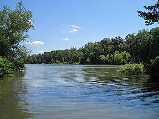 <span class="mw-page-title-main">Lake Poinsett State Park</span> State park in Arkansas, United States