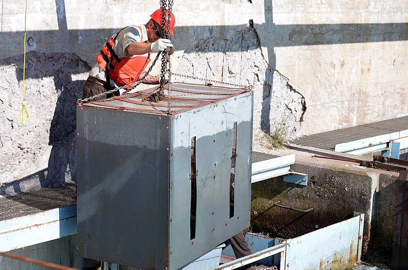 File:Lamprey trap lifting (28052078572).jpg