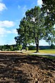 Čeština: Krajina mezi Dobrou Vodou a Číměří English: Landscape between Dobrá Voda and Číměř village, Czech Republic