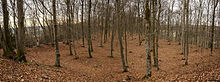 Langenenslingen-5644 Pano.jpg