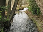 Langwieder Bach