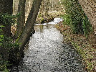 Lang again brook near Lußsee