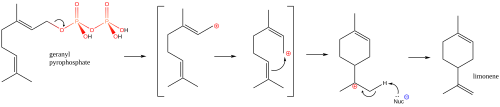 Limonene Biosynthesis (coloured).svg