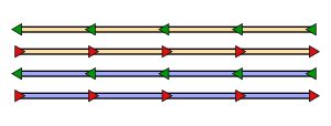 Richtungs- Und Linienbetrieb