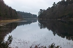 Llyn Parc, looking south. Llyn y Parc - geograph.org.uk - 205494.jpg