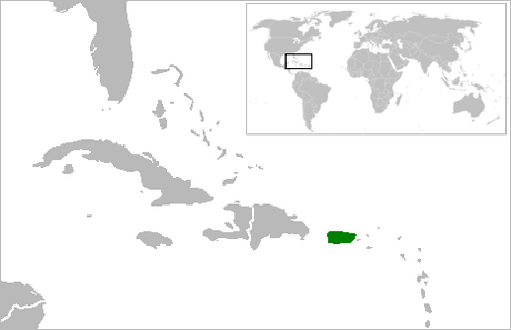 List of Lepidoptera of Puerto Rico